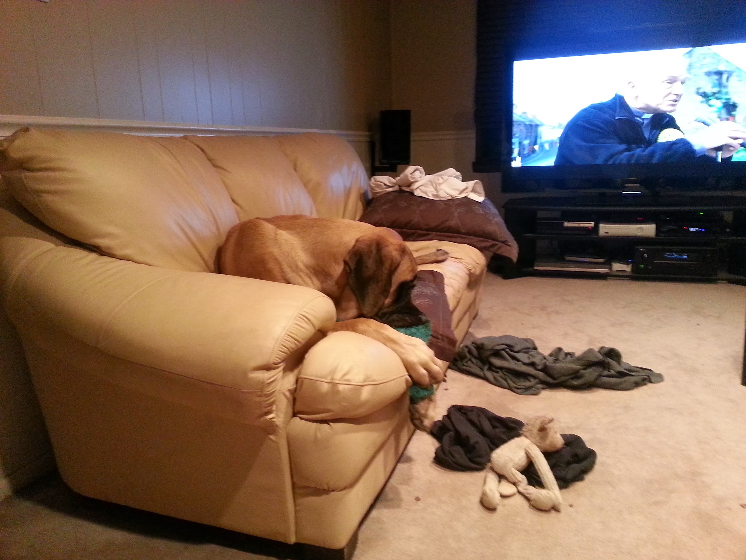 Bane on couch, old TV in background