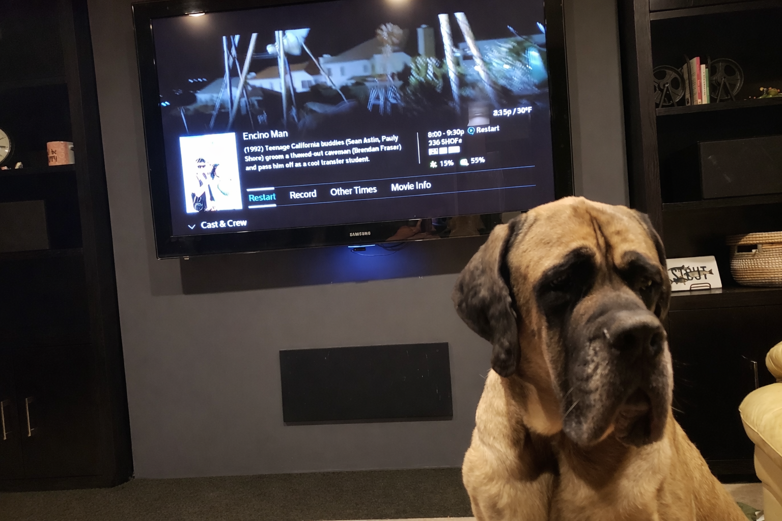 First movie night with Bane, hidden speaker panel visible below TV