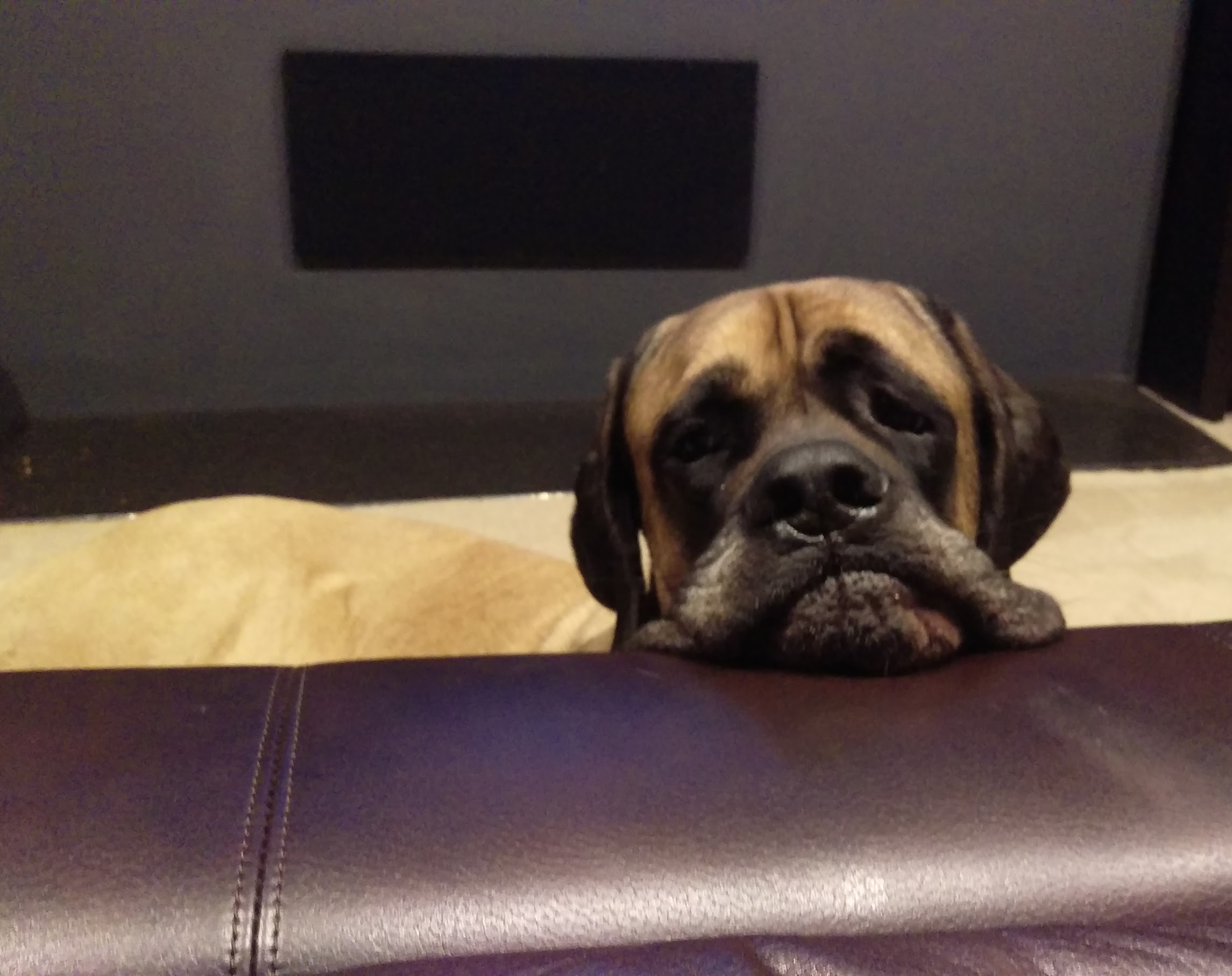 Bane discovering the hidden speaker panel